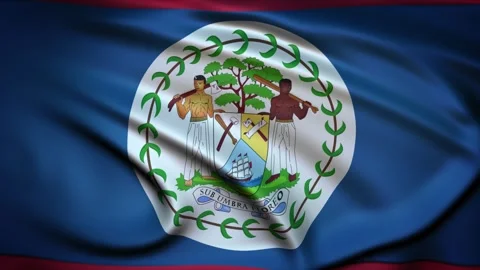 Seamless Loop Waving Silky Country Flag Belize Stock Footage 286345863