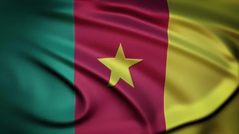 Seamless Loop Waving Silky Country Flag Cameroon Stock Footage 286345914