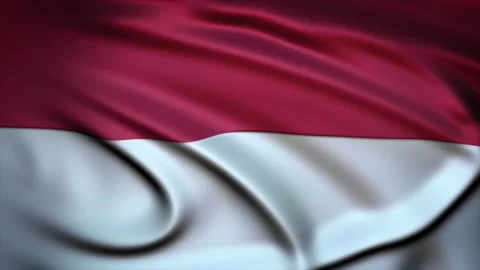 Seamless Loop Waving Silky Country Flag Monaco Stock Footage 286346406
