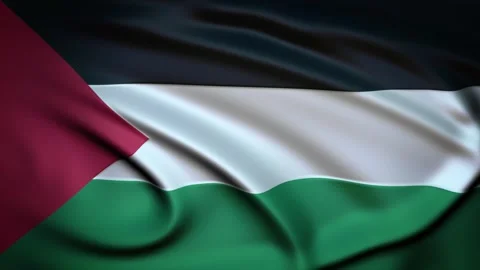 Seamless Loop Waving Silky Country Flag Palestine Stock Footage 286346516