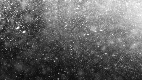 Seamless loop white snow particles falling against dark black background Stock Footage 348271218