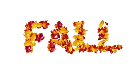 Seamless Loop Word Fall (for Season) Forming from Leaves Stock Footage 159754799