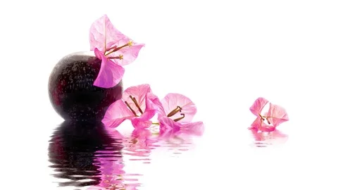 Seamless loop - Zen Bougainvillea composition and water reflections Stock Footage 73230515