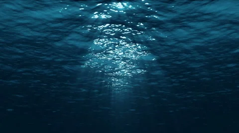 Seamless looped underwater scene Stock Footage