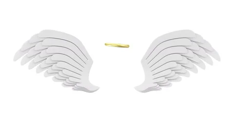 flying angel wings