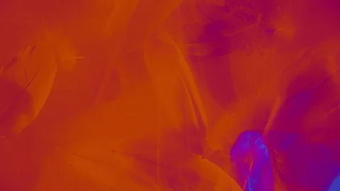 Seamless looping animation with feathers in red, purple and orange - warm clip Stock Footage 76004240