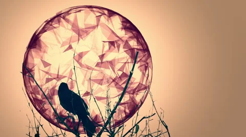 Seamless looping animation featuring a raven. Stock Footage 42918168