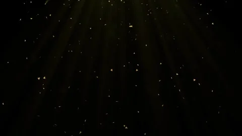 Seamless looping animation for festive celebration and luxury. Stock Footage 345625340