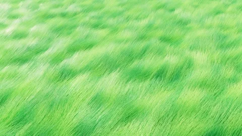 Seamless looping animation of green grass field swaying in wind Video stock 279551890