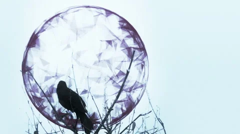 Seamless looping animation of the moon and a raven Stock Footage 42914854