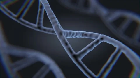 Seamless looping animation of rotating D... | Stock Video | Pond5