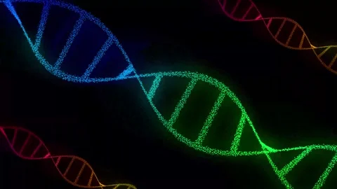 Seamless looping animation of rotating DNA strands 4k animated on black bac.. Stock Footage 322968084