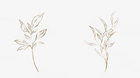 Seamless looping animation of two gold botanical line art branches Stock Footage 325210759