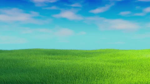 Seamless looping animation of wind swaying green grass against a blue sky Stock Footage 171312866