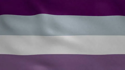 Seamless looping Asexual Pride flag, 50fps Stock Footage 205449885