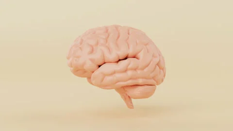 Seamless looping of brain rotating 360 d... | Stock Video | Pond5