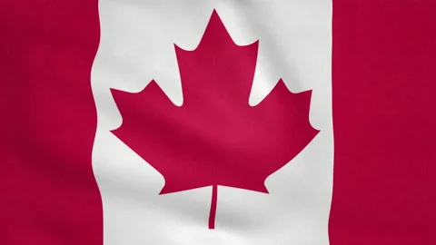 Seamless looping Canada flag, 50fps Stock Footage 205083710