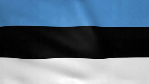 Seamless looping Estonia flag, 50fps Stock Footage 205087816