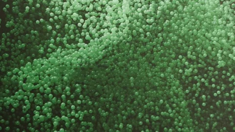 Seamless looping green fizz bubble chaos background Stock Footage 303650730