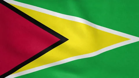 Seamless looping Guyana flag, 50fps Stock Footage 205090873