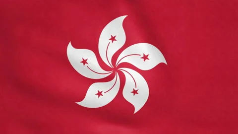 Seamless looping Hong Kong flag, 50fps Stock Footage 205090973