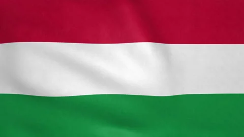 Seamless looping Hungary flag, 50fps Stock Footage 205091911