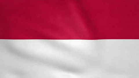 Seamless looping Indonesia flag, 50fps Stock Footage 205092956