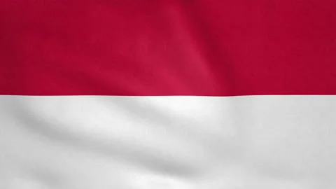 Seamless looping Monaco flag, 50fps Stock Footage 205097100