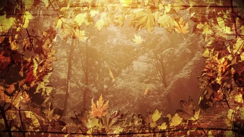 Seamless looping motion background features a wooden frame and colorful fall Stock Footage 160609795
