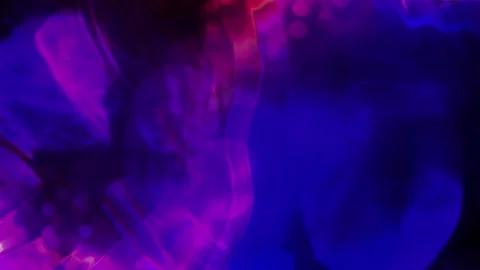 Seamless looping motion background features a dark pruple abstract background Stock Footage 160611185