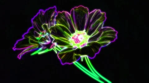 Seamless looping motion background features glowing flowers in changing colors Stock Footage 160657291