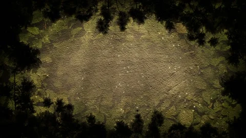 Seamless looping motion background features a frame of leaves silhouettes and a Stock Footage 160657433