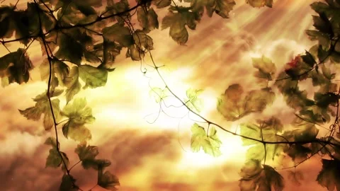 Seamless looping motion background features slowly moving rustic vine leaves and Stock Footage 160662807