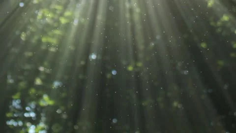 Seamless looping motion background features a green forest bokeh and light rays 動画素材 160668262