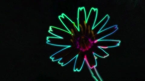 Seamless looping motion background shows a close up view of blossom and Stock-Footage 160599099