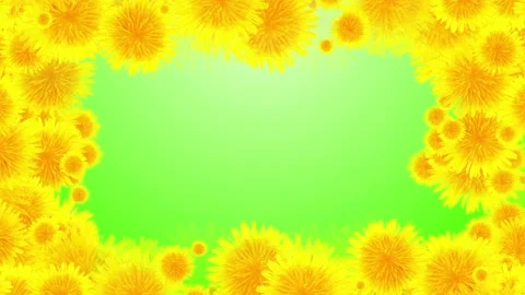 Seamless looping motion background shows a frame of blooming dandelion blossoms Stock Footage 160610114