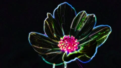 Seamless looping motion background shows a macro shot of a blossom in glowing Stock Footage 160658300