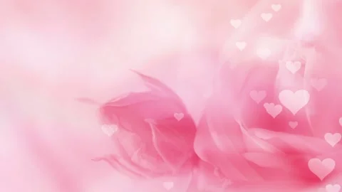Seamless looping motion background shows a soft pink rose background and raining 動画素材 160668350