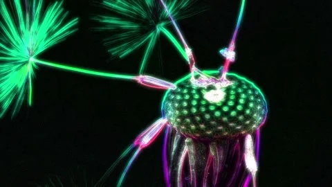 Seamless looping motion graphic features a detailed close up view of a withered Stock Footage 160664733