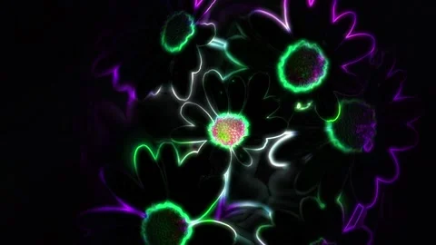 Seamless looping motion graphic features a couple of glowing blossoms in neon Stock Footage 160666155