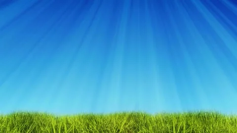 Seamless looping motion shows a slow paced background featuring green grass Stock Footage 160667515