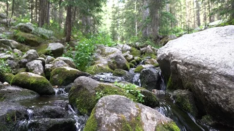Seamless looping Mountain streams flowing over mossy rocks with sound NM| 4k Stock Footage