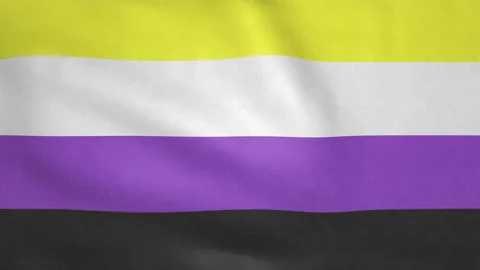 Seamless looping Nonbinary flag, 50fps Stock Footage 205411749