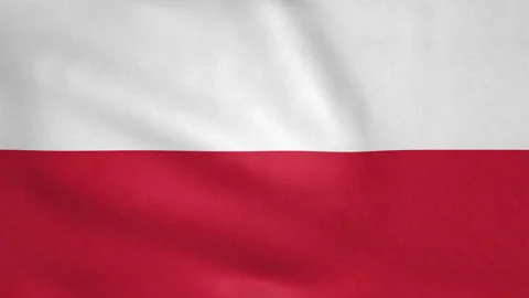 Seamless looping Poland flag, 50fps Stock Footage 205099505