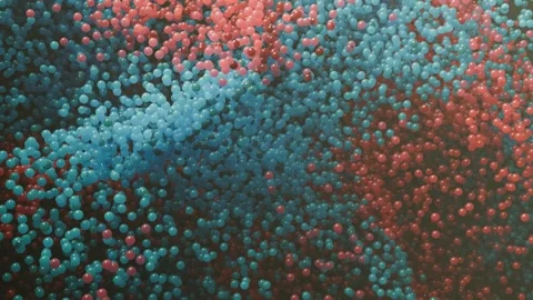 Seamless looping red and blue bubble particles moving in a chaotic motion Stock Footage 303664656