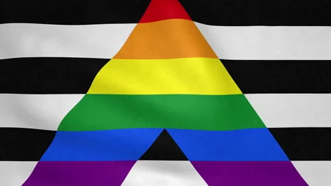 Seamless looping Straight Ally flag, 50fps Stock Footage 205411774