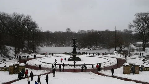 Seamless Looping Time Shift Bethesda Fountain Vídeo Stock 169423568