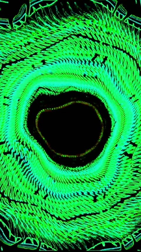 Seamless looping tunnel video vj loop screensaver in vibrant green tones fo.. Stock Footage 321568614