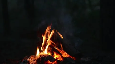 Seamless Looping Video of Bonfire Crackle and Sound Stock Footage 344746477