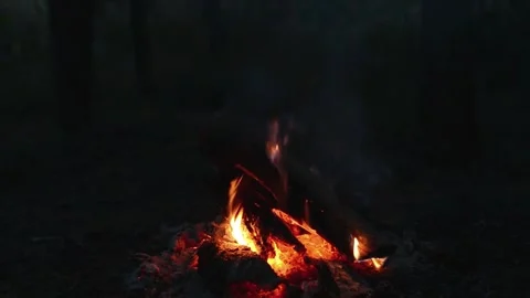 Seamless Looping Video of Bonfire Embers and Sound 動画素材 344746480